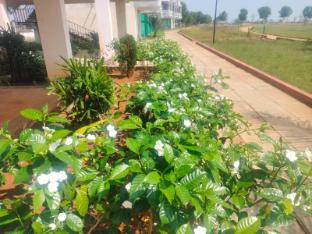 pulicat lake view resort