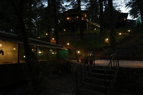 Treetop Glamps,,5 star