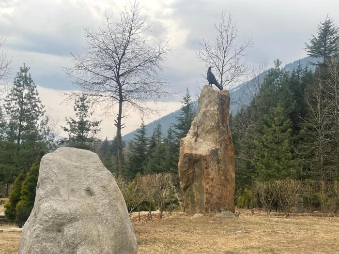 celebriti inn by london vista hotels old manali