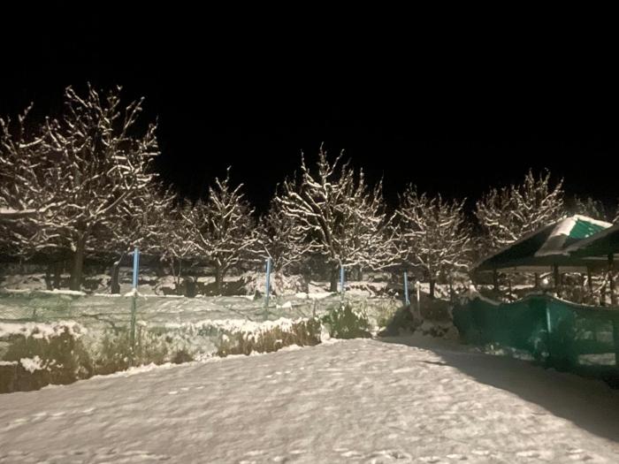 celebriti inn by london vista hotels old manali