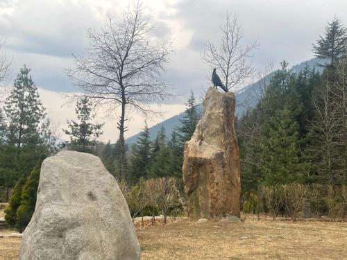 celebriti inn by london vista hotels old manali