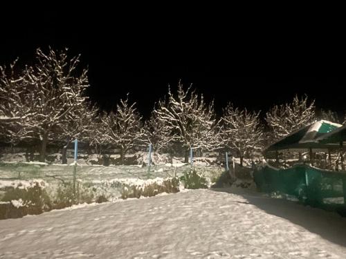 celebriti inn by london vista hotels old manali