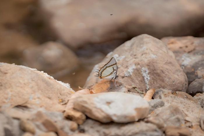 mornery the riverside