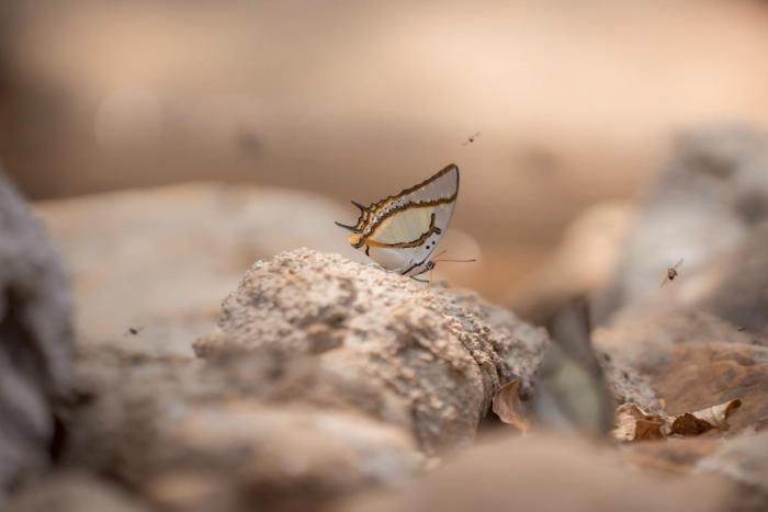 mornery the riverside