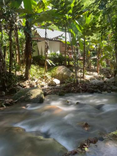 mornery the riverside