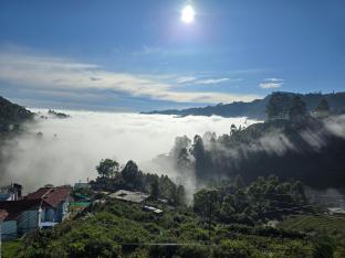 kodai hillscape