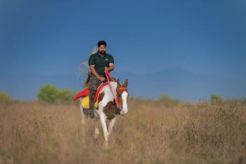 gaj resort a member of radisson individuals retreats