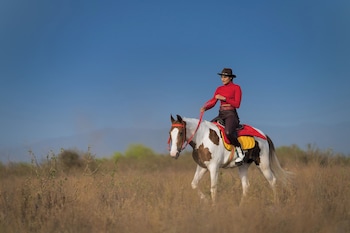 gaj resort a member of radisson individuals retreats