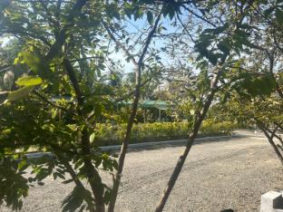 jvl resort by nexottel