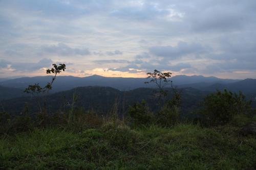 bougainvillea homestay