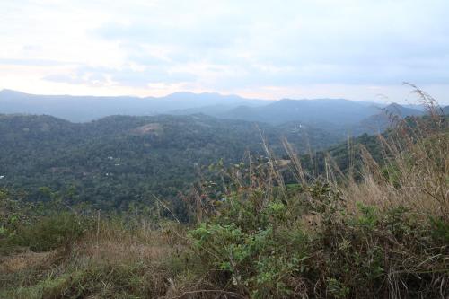nedukandam