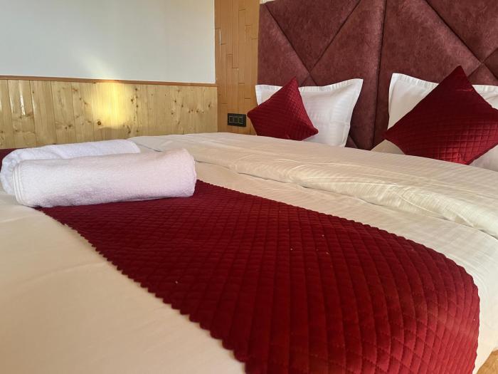 hotel mountain blue manali