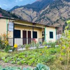 anurag homestay by stayapart