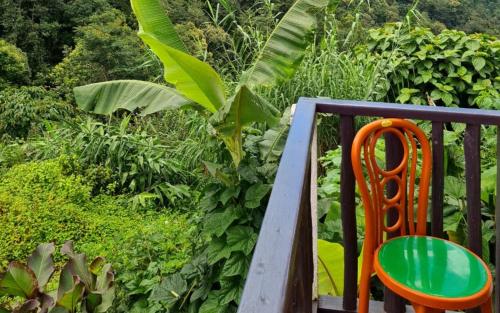 wild orchid homestay by stayapart