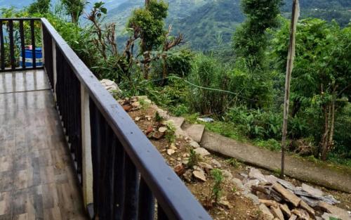 wild orchid homestay by stayapart