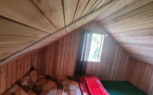 wild orchid homestay by stayapart