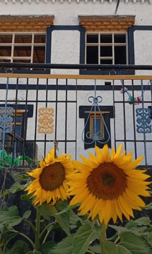 Sunflower Homestay By Stayapart,,2 star