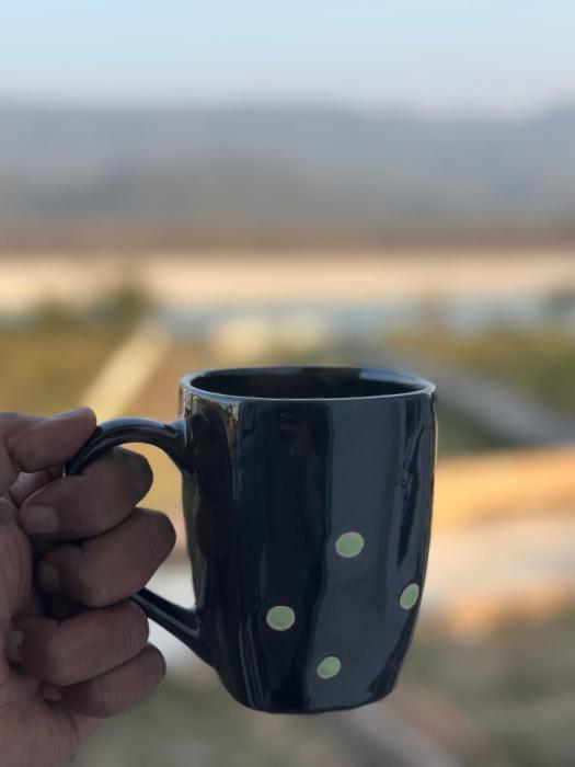 elysium the himalayan and ganges view yoga retreat