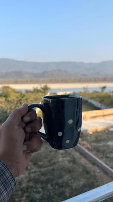 elysium the himalayan and ganges view yoga retreat