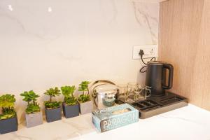 uptown kingdom the luxury homestay