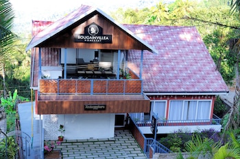 bougainvillea homestay munnar