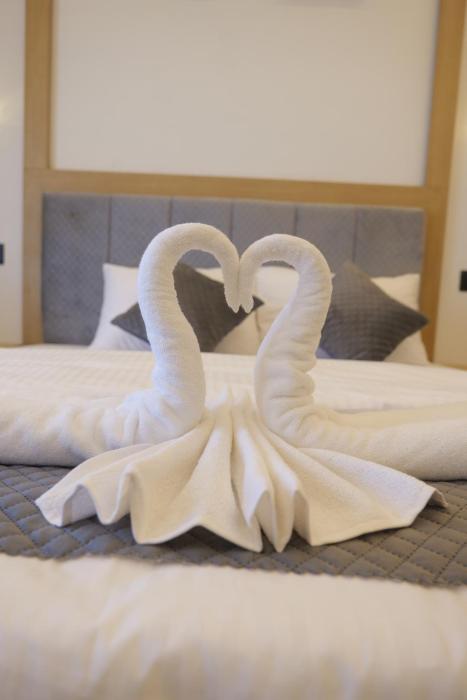 bougainvillea homestay munnar