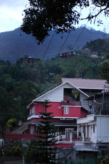 bougainvillea homestay munnar