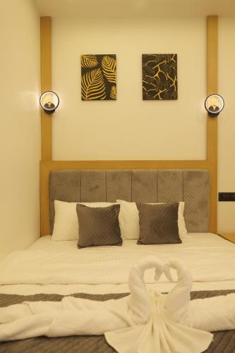 bougainvillea homestay munnar