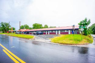 shamrock kings inn by oyo marked tree i 555