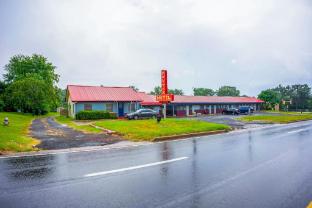 shamrock kings inn by oyo marked tree i 555
