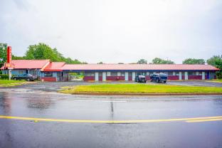 shamrock kings inn by oyo marked tree i 555