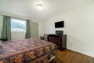 shamrock kings inn by oyo marked tree i 555