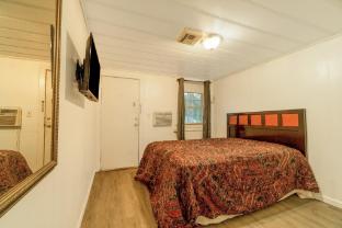 shamrock kings inn by oyo marked tree i 555