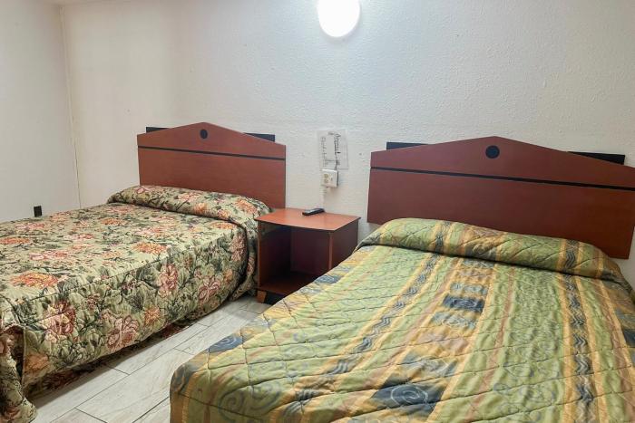 shamrock kings inn by oyo marked tree i 555
