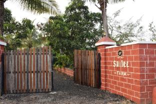 sailee farm and resort