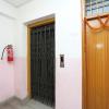 vibrant guest house