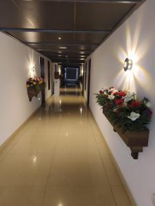 skylinn stays unit of prohotel