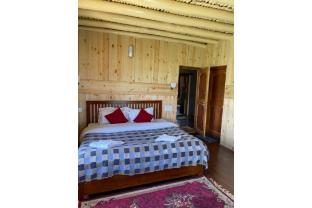 pangong house boutique stay