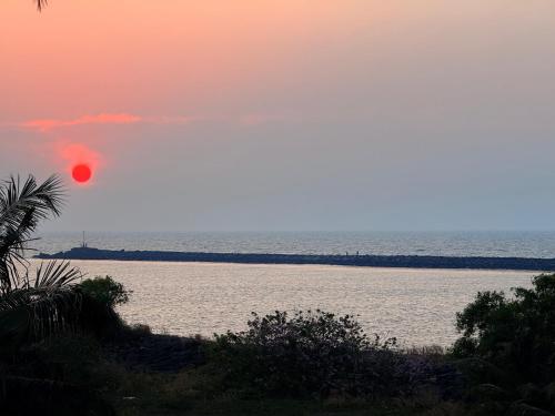 Sea Island Resort,,3 star