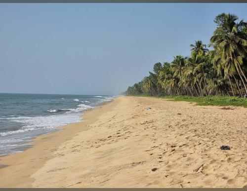 Sea Island Resort,,3 star