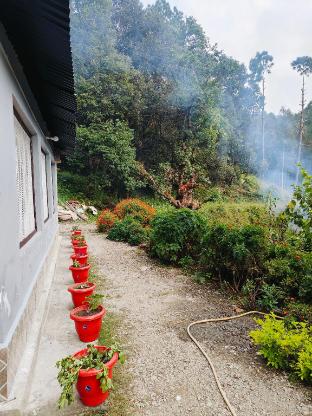 the jungle book by lake and woods