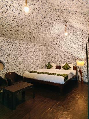 the jungle book by lake and woods