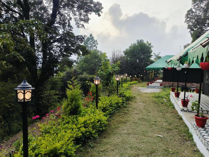 the jungle book by lake and woods