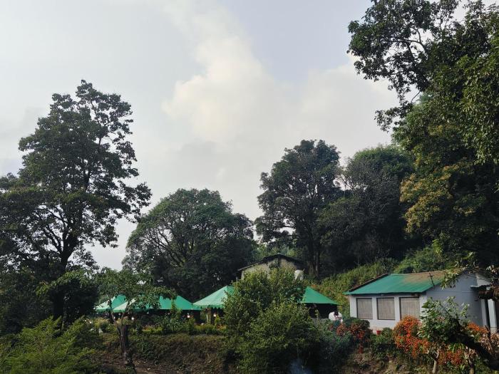 the jungle book by lake and woods