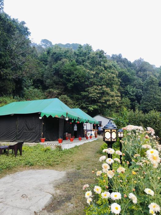 the jungle book by lake and woods