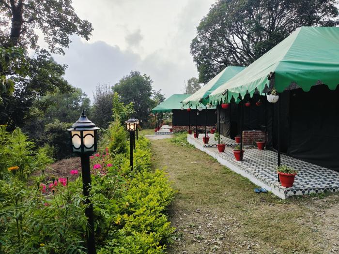 the jungle book by lake and woods