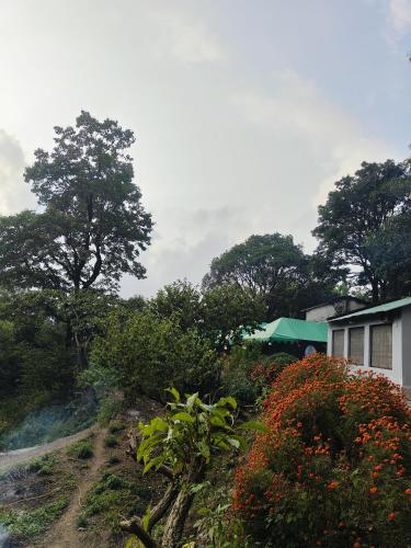 the jungle book by lake and woods