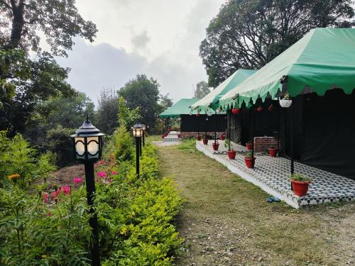 the jungle book by lake and woods