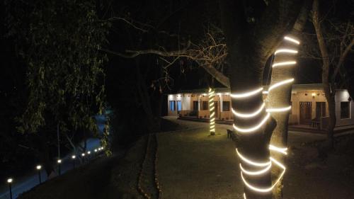 nainital