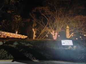 nainital